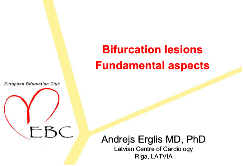 Read more about the article Bifurcation lesions Fundamental aspects