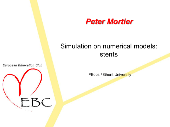 Read more about the article Simulation on numerical models: stents