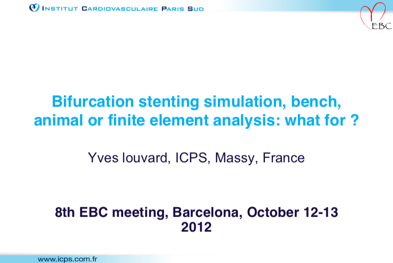 Read more about the article Bifurcation stenting simulation, bench, animal or finite element analysis: what for?