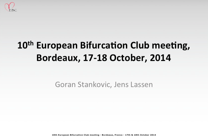 Read more about the article 10th European Bifurcation Club meeting, Bordeaux, 17-18 October, 2014