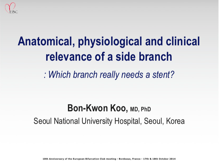 Read more about the article Anatomical, physiological and clinical relevance of a side branch: Which branch really needs a stent?