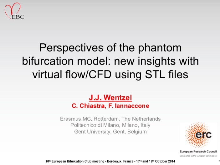 Read more about the article Perspectives of the phantom bifurcation model: new insights with virtual flow/CFD using STL files