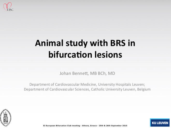 You are currently viewing Animal study with BRS in bifurcation lesions