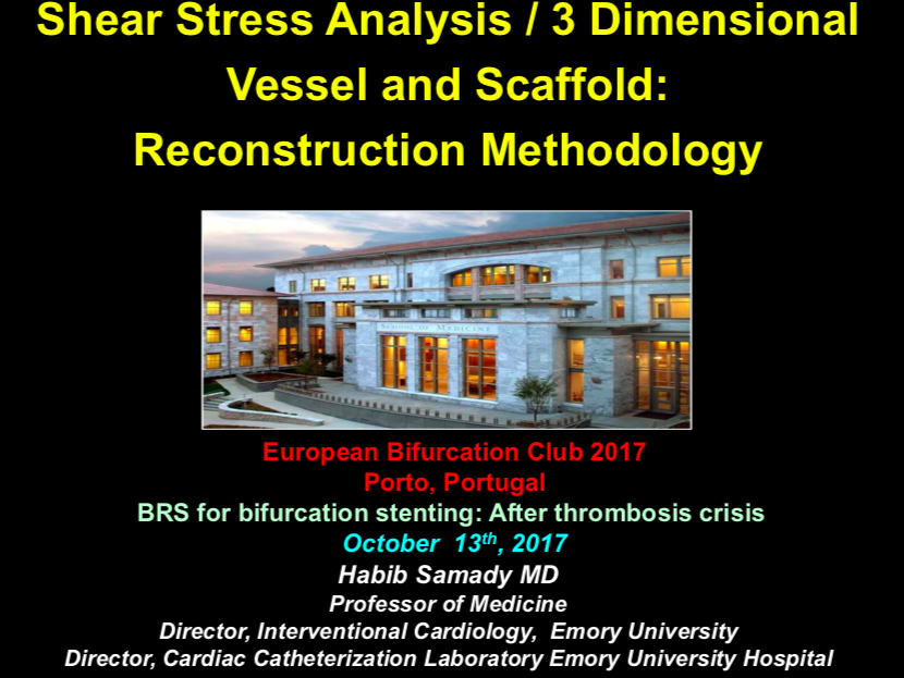 You are currently viewing Shear Stress Analysis / 3 Dimensional Vessel and Scaffold: Reconstruction Methodology