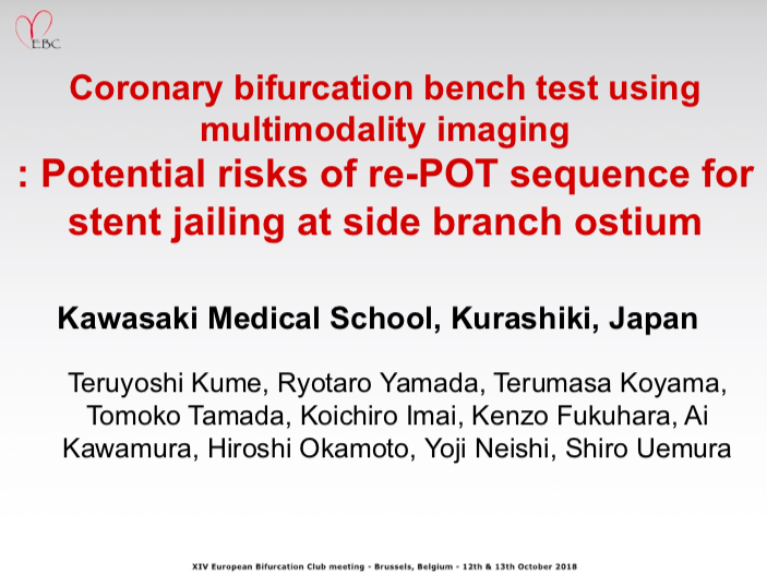 You are currently viewing Coronary bifurcation bench test using multimodality imaging: Potential risks of re-POT sequence for stent jailing at side branch ostium