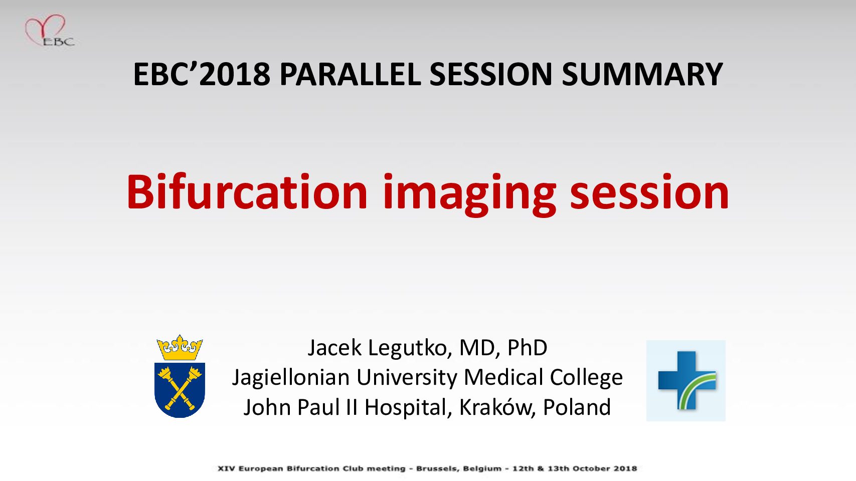 Read more about the article PARALLEL SESSION SUMMARY – Bifurcation imaging session
