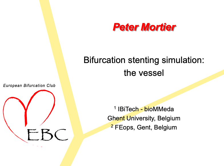 You are currently viewing Bifurcation stenting simulation: the vessel