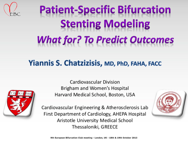 Read more about the article Patient specific bifurcation stenting modelling: What for? To predict outcome