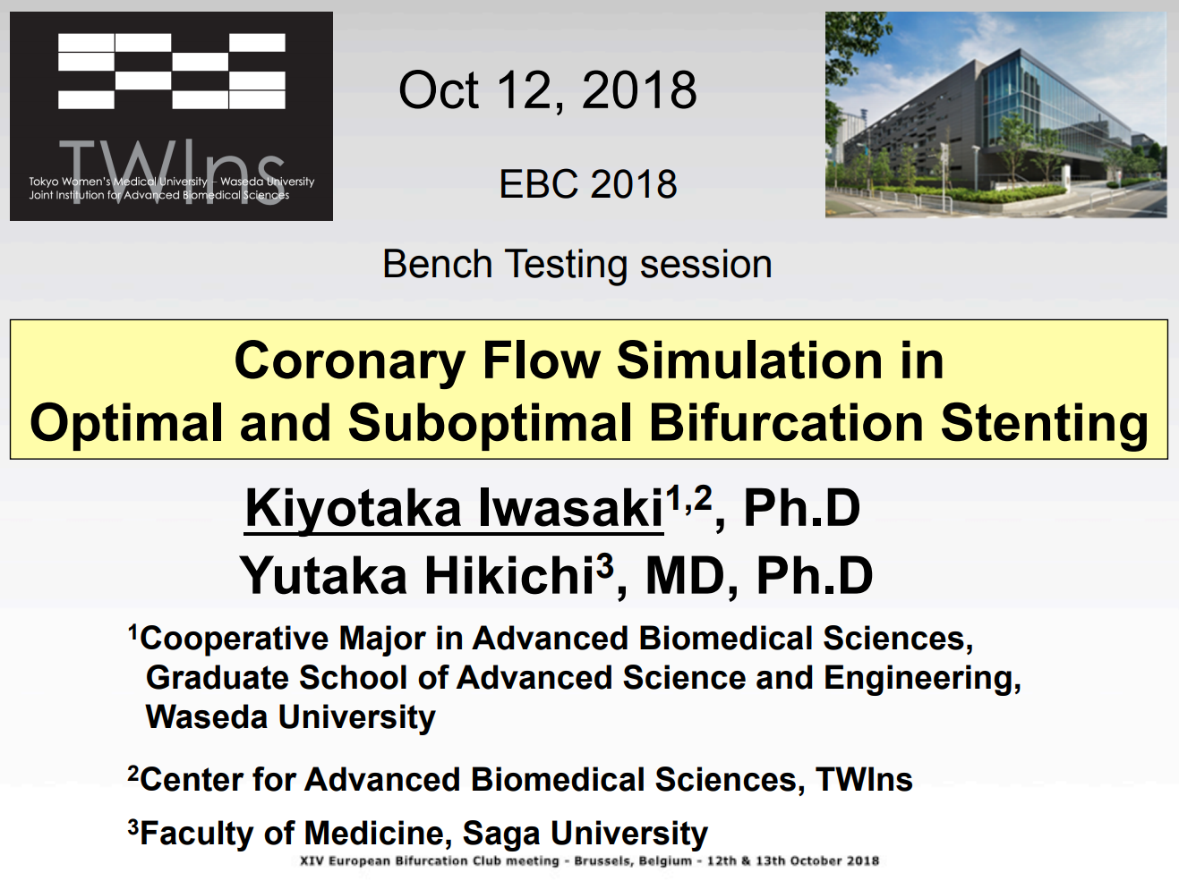 Read more about the article Coronary Flow Simulation in Optimal and Suboptimal Bifurcation Stenting
