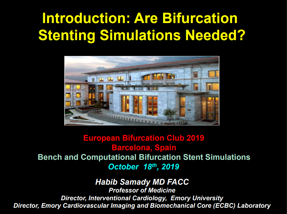Read more about the article Introduction: Are bifurcation stenting simulations needed?