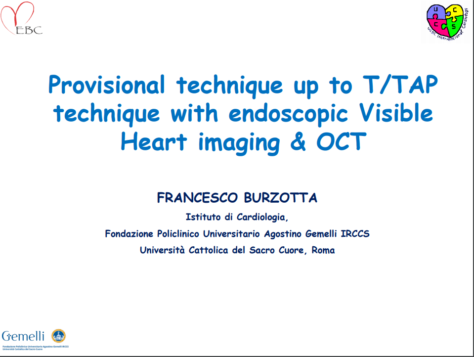 Read more about the article Provisional Technique up to T TAP Technique with Endoscopic Visible Heart Imaging and OCT